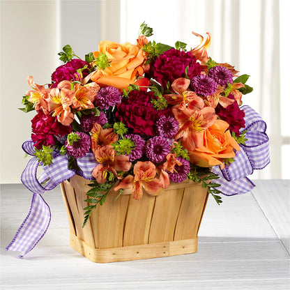 New Dream Basket
