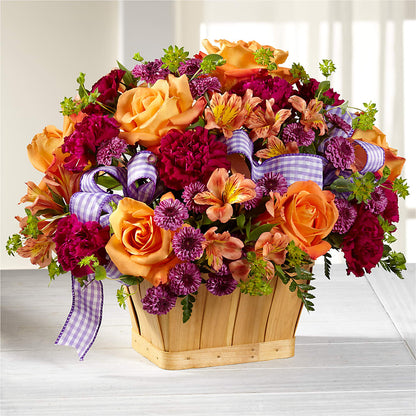 New Dream Basket